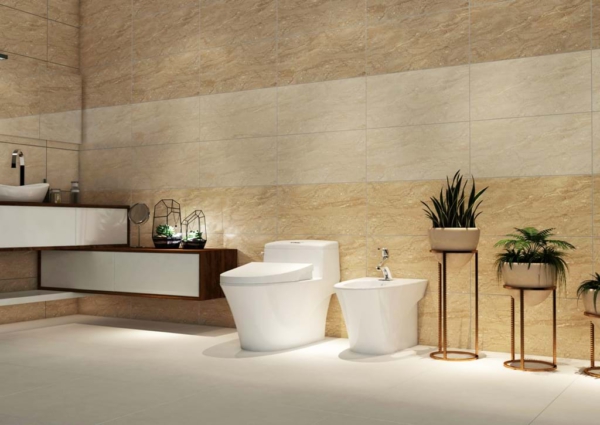 CÁC THƯƠNG HIỆU THIẾT BỊ VỆ SINH CAO CẤP 11 Thương hiệu thiết bị vệ sinh THIÊN THANH – Việt Nam