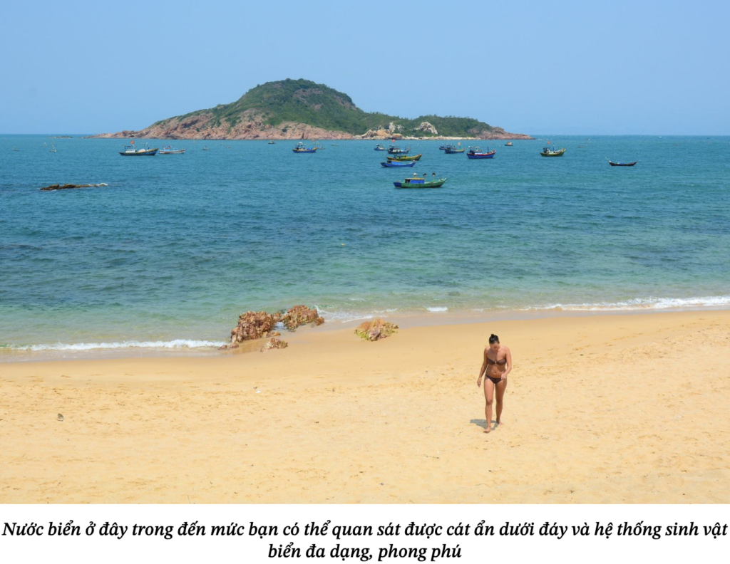 bai bien ky co